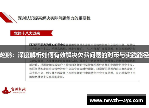 赵鹏：深度解析如何有效解决欠薪问题的对策与实践路径